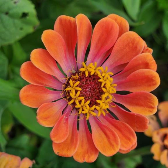 Meet your Posher, Lynn - Picture 1 of 2